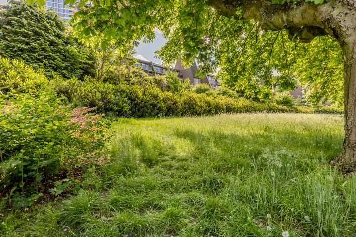 Foto 61 van Veldmaarschalk Montgomerylaan 297