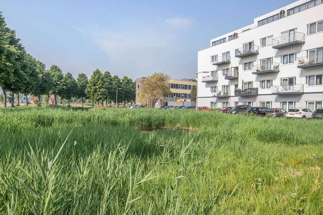 Foto 32 van Limaweg 53-A