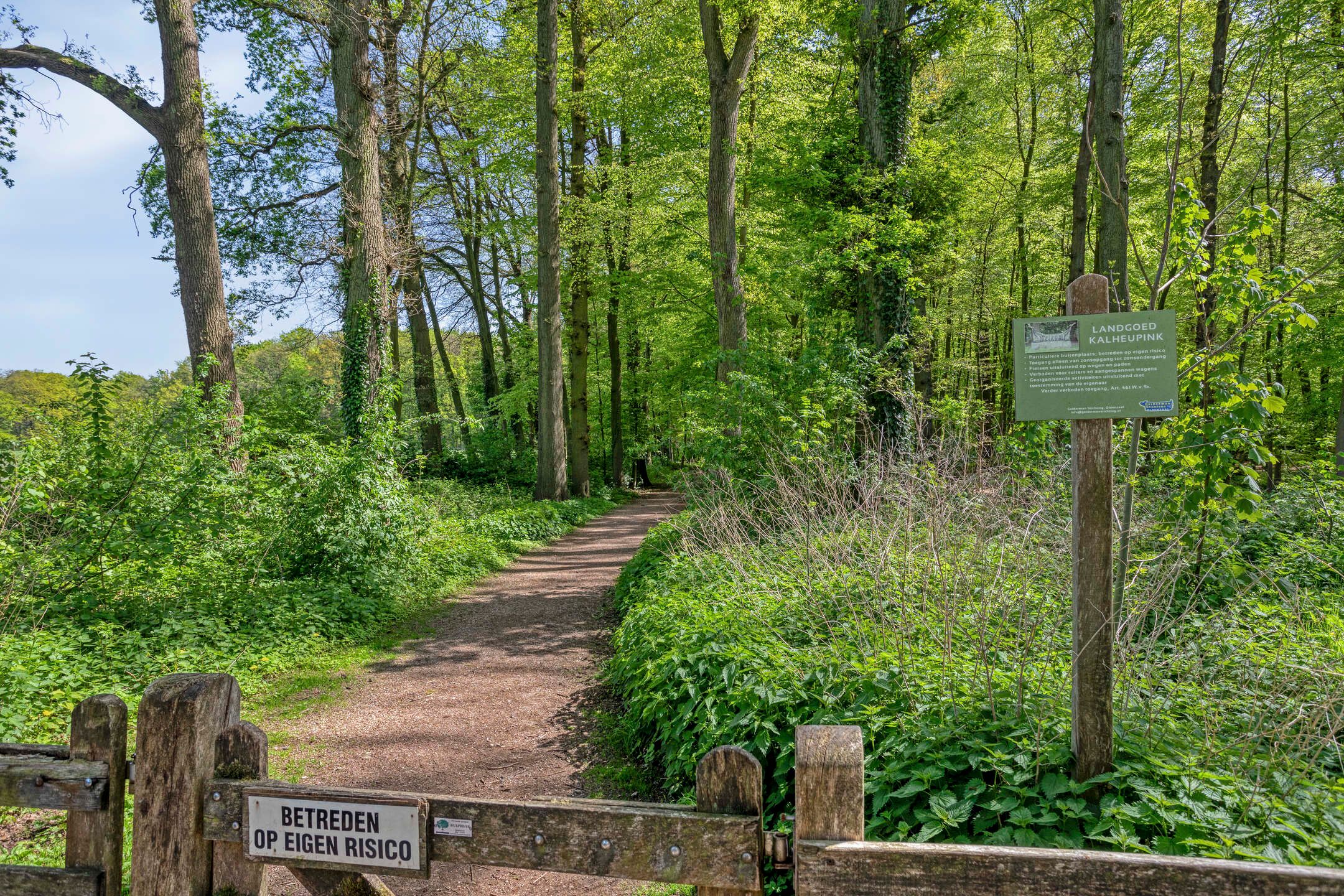 Photo 36 of Landrebenlaan 92