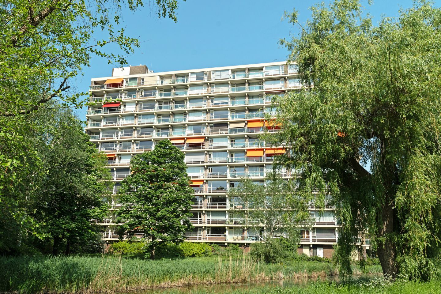 Foto 29 van Tobias Asserlaan 170