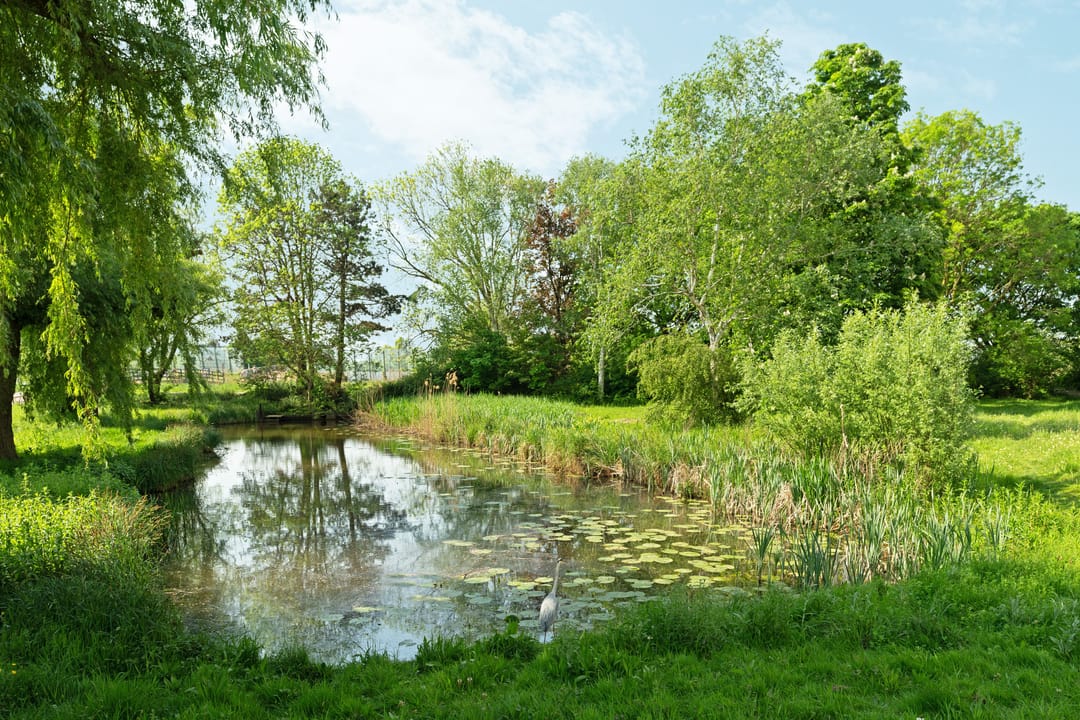 Foto 32 van Tobias Asserlaan 170