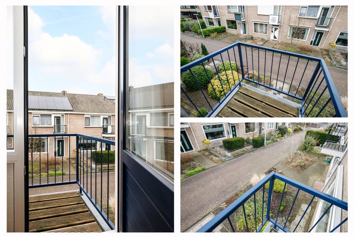 Foto 19 van Zeemanhof 29