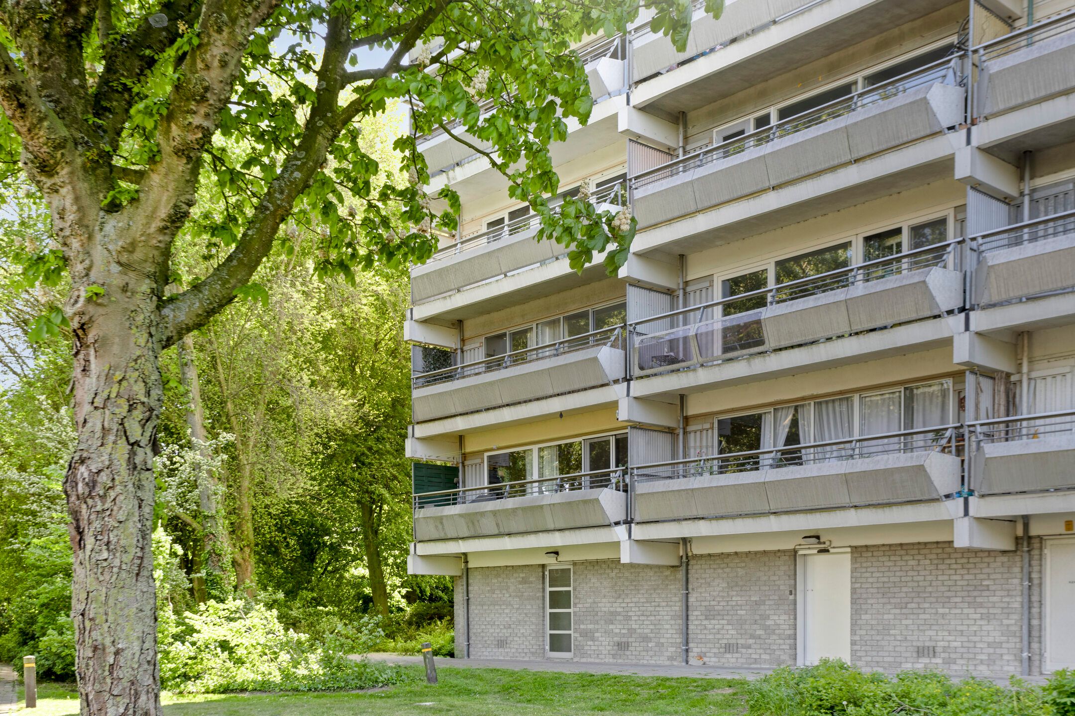 Foto 33 van Burgemeester D. Kooimanweg 703