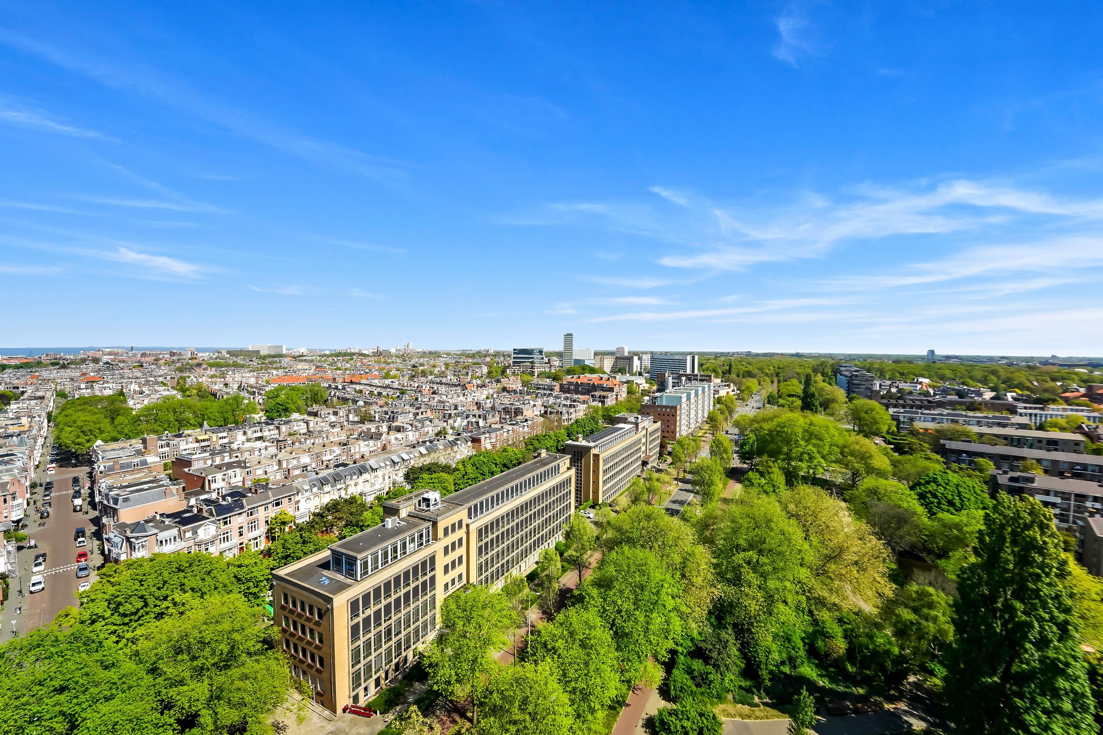 Foto 3 van Stadhoudersplantsoen 260-C