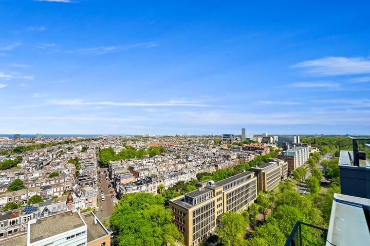 Foto 55 van Stadhoudersplantsoen 260-C