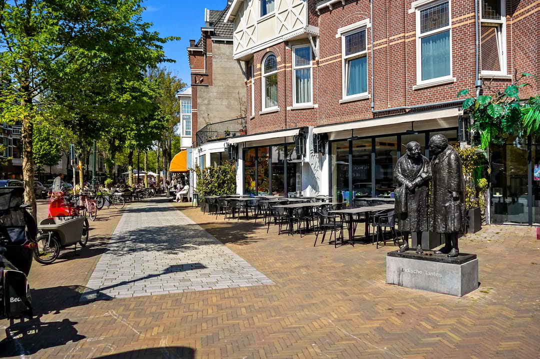 Foto 62 van Stadhoudersplantsoen 260-C