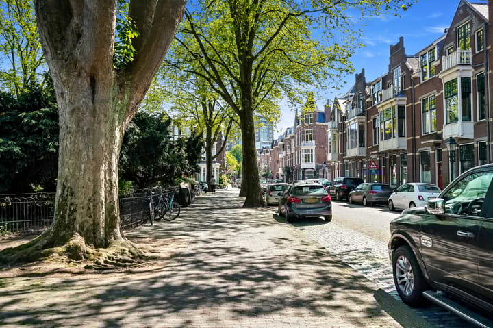 Foto 63 van Stadhoudersplantsoen 260-C