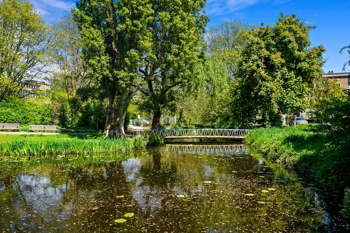 Foto 66 van Stadhoudersplantsoen 260-C