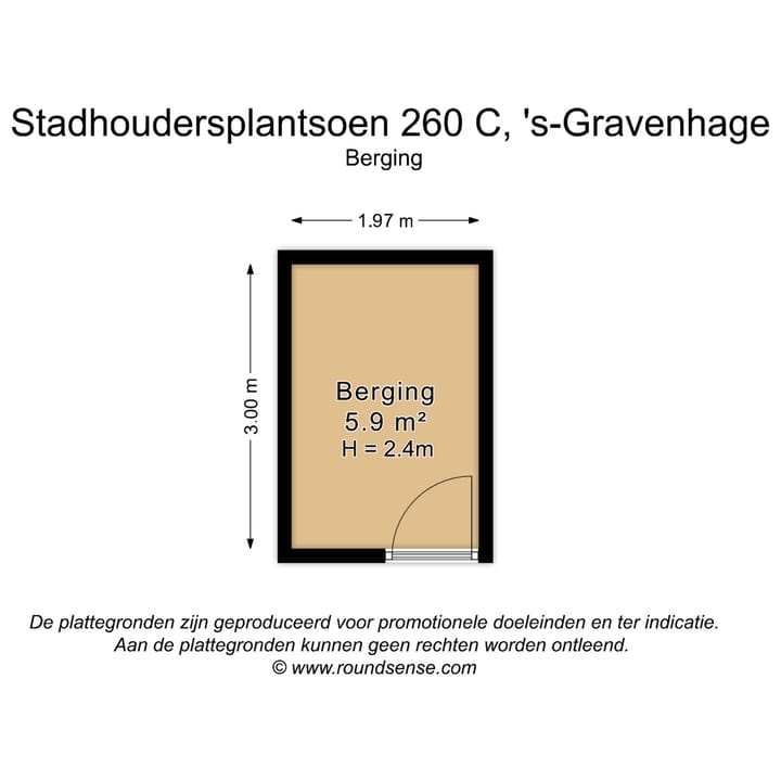 Foto 70 van Stadhoudersplantsoen 260-C