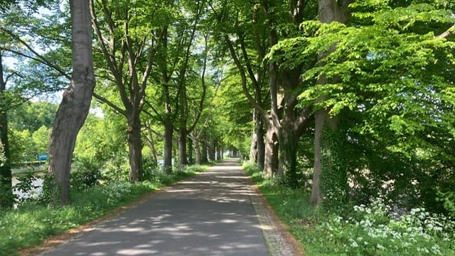 Foto 40 van Diepenheimseweg 26