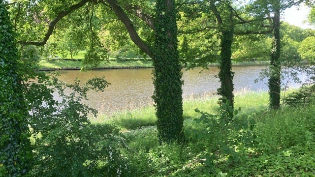 Foto 41 van Diepenheimseweg 26