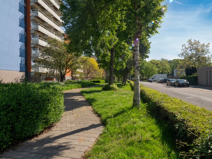 Foto 19 van Tolhuis 6755