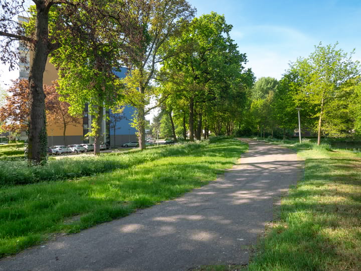 Foto 20 van Tolhuis 6755