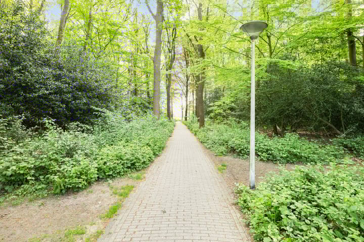 Foto 41 van Oldemaad 17