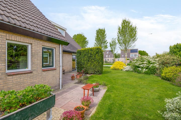 Photo 42 of Aldebaran 33