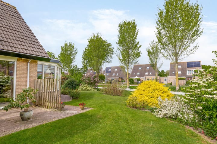 Photo 44 of Aldebaran 33