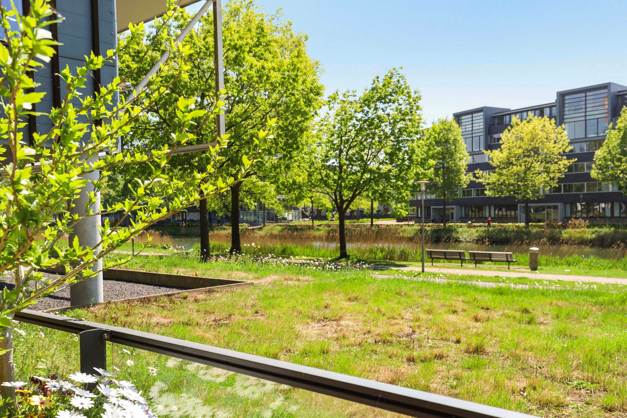 Foto 18 van Plantsoen Welgelegen 171