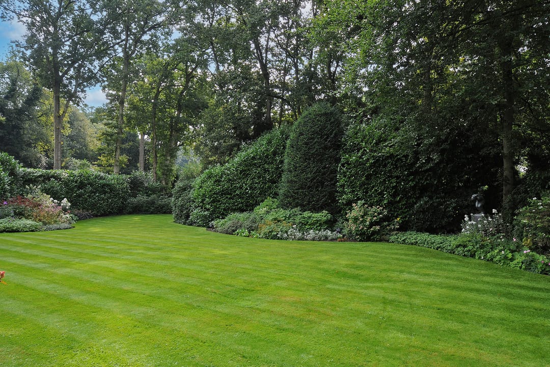 Photo 32 of van Beeverlaan 7