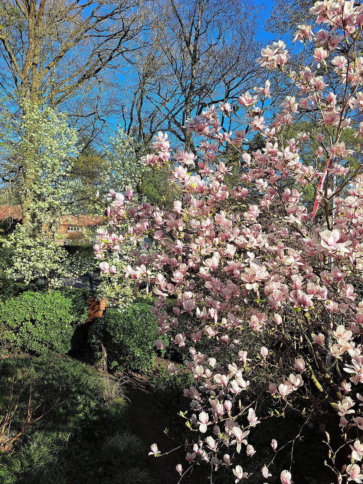 Photo 35 of van Beeverlaan 7