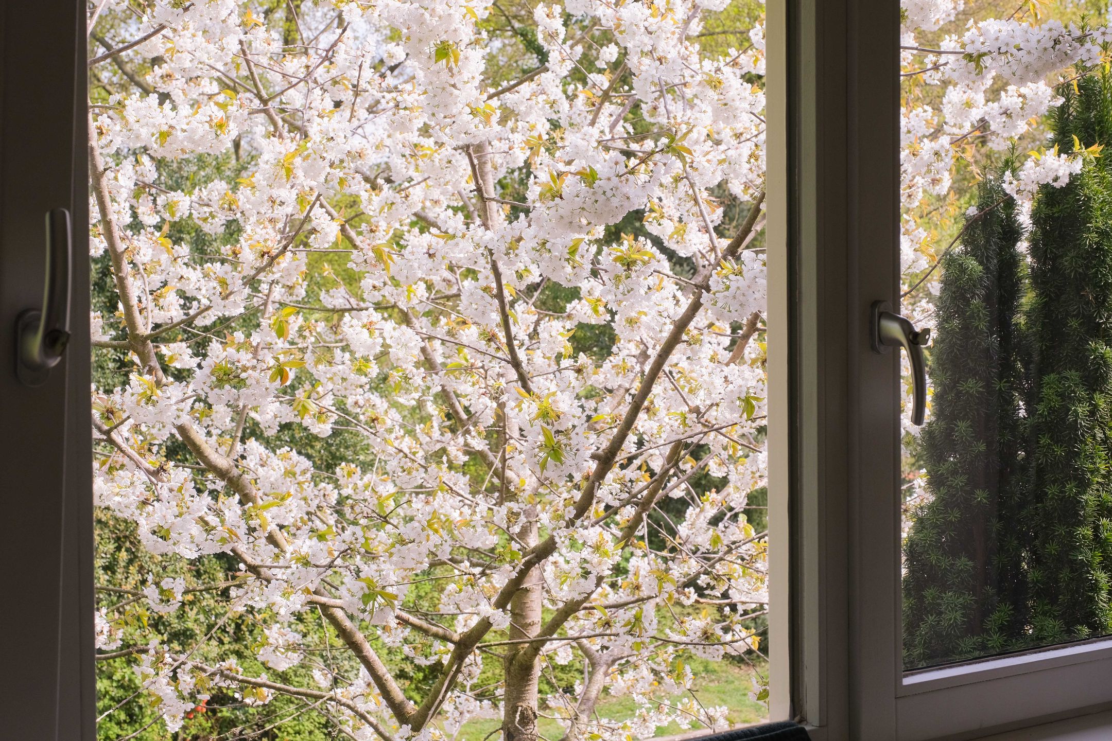 Foto 18 van Horstlaan 38