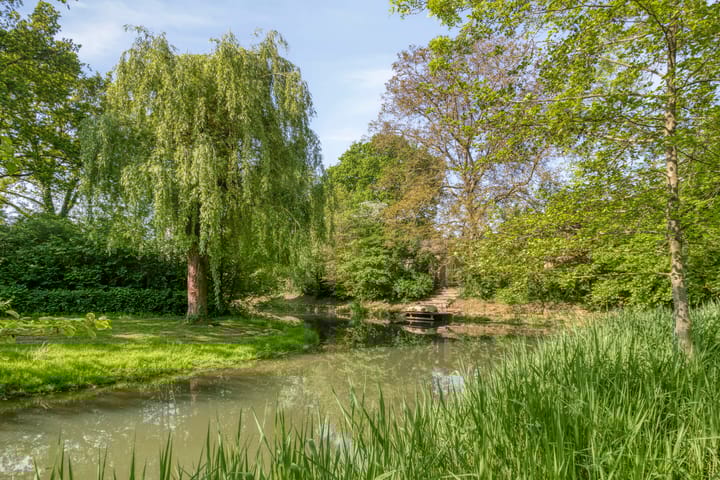 Photo 46 of Hogeweg 1-A