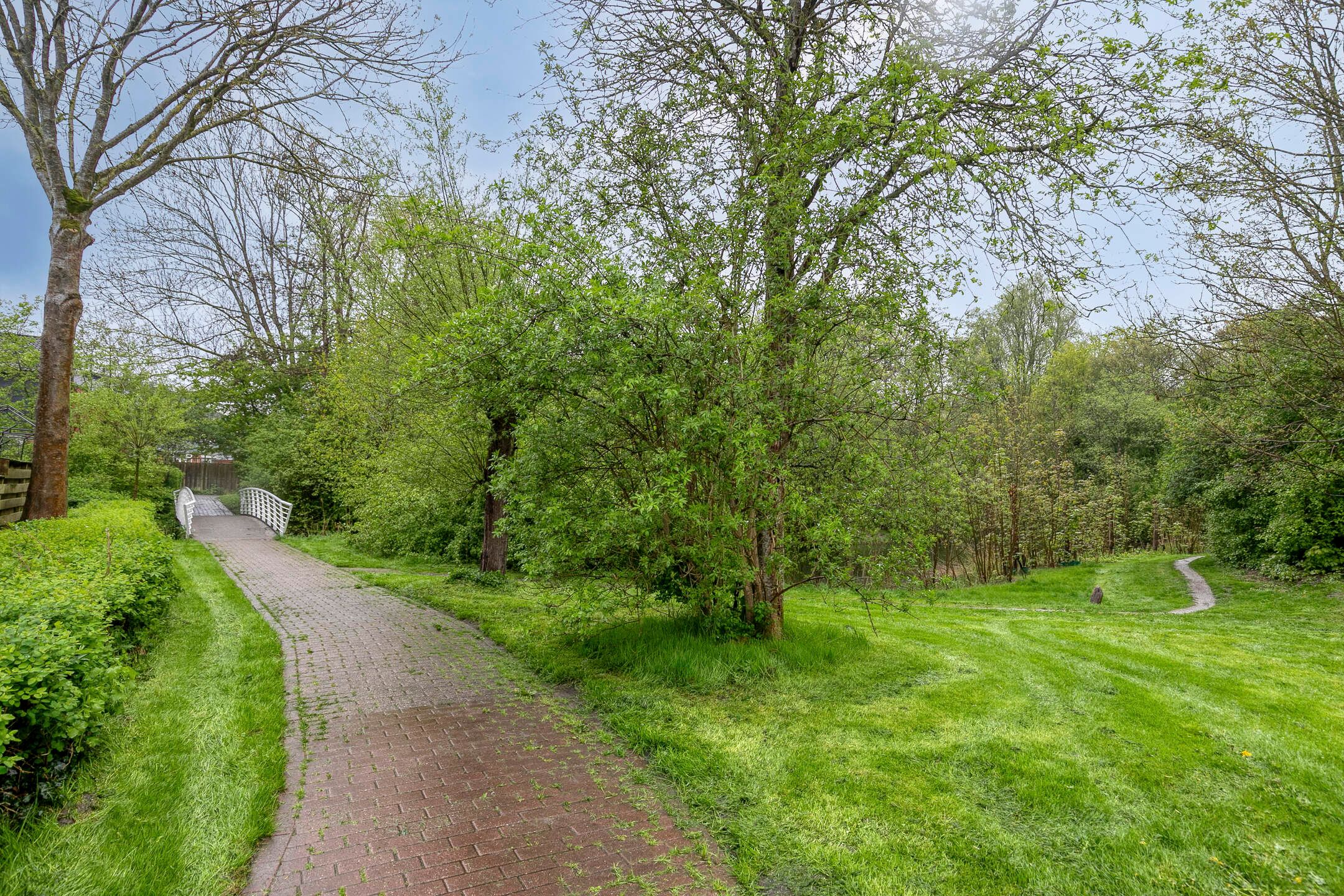 Photo 18 of Kremersheerd 124