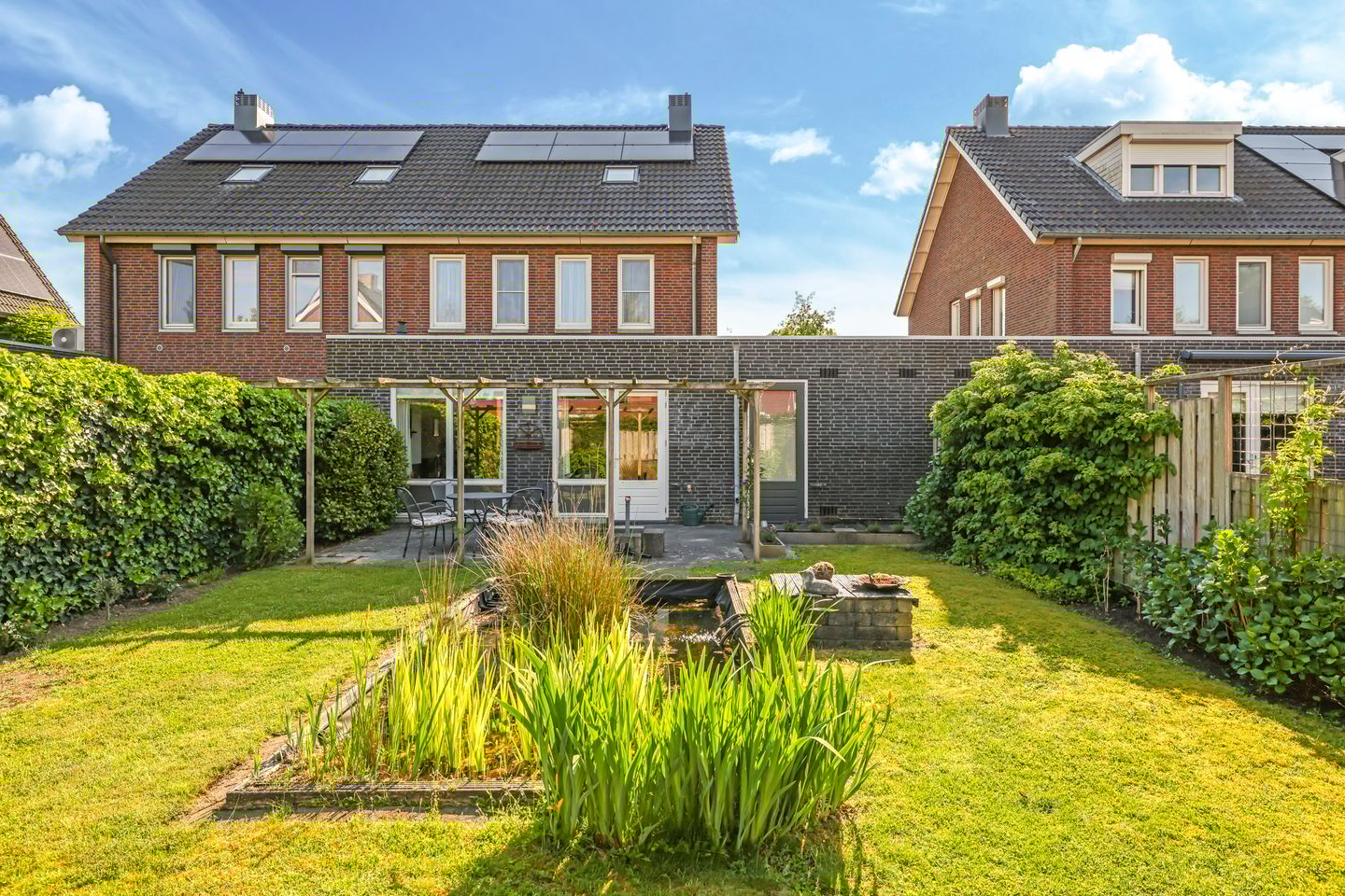 Paardenbloem 62 main image