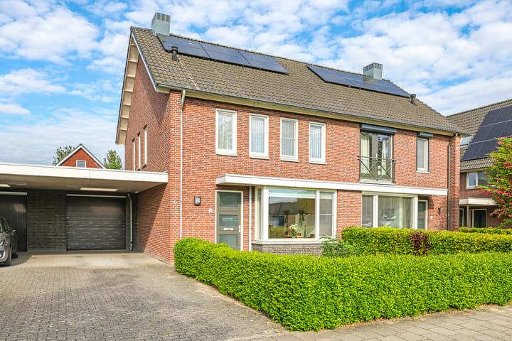 Foto 2 van Paardenbloem 62