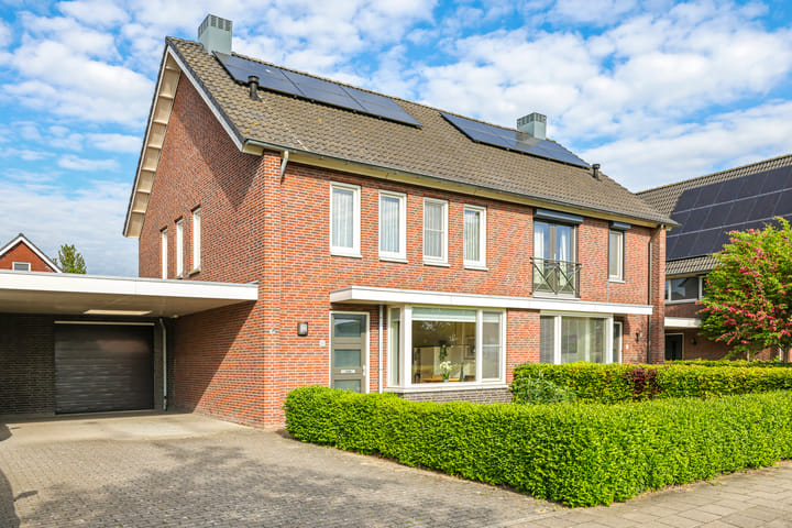 Foto 6 van Paardenbloem 62