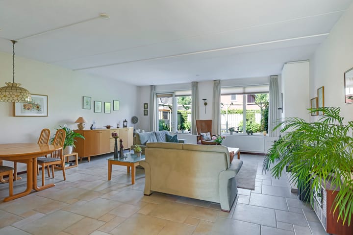 Foto 11 van Paardenbloem 62