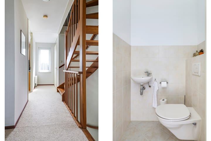 Foto 36 van Paardenbloem 62