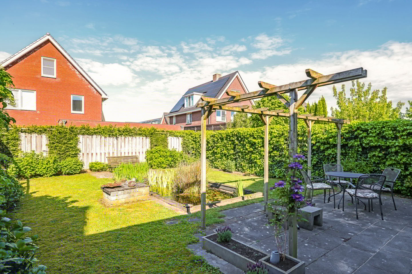 Foto 50 van Paardenbloem 62