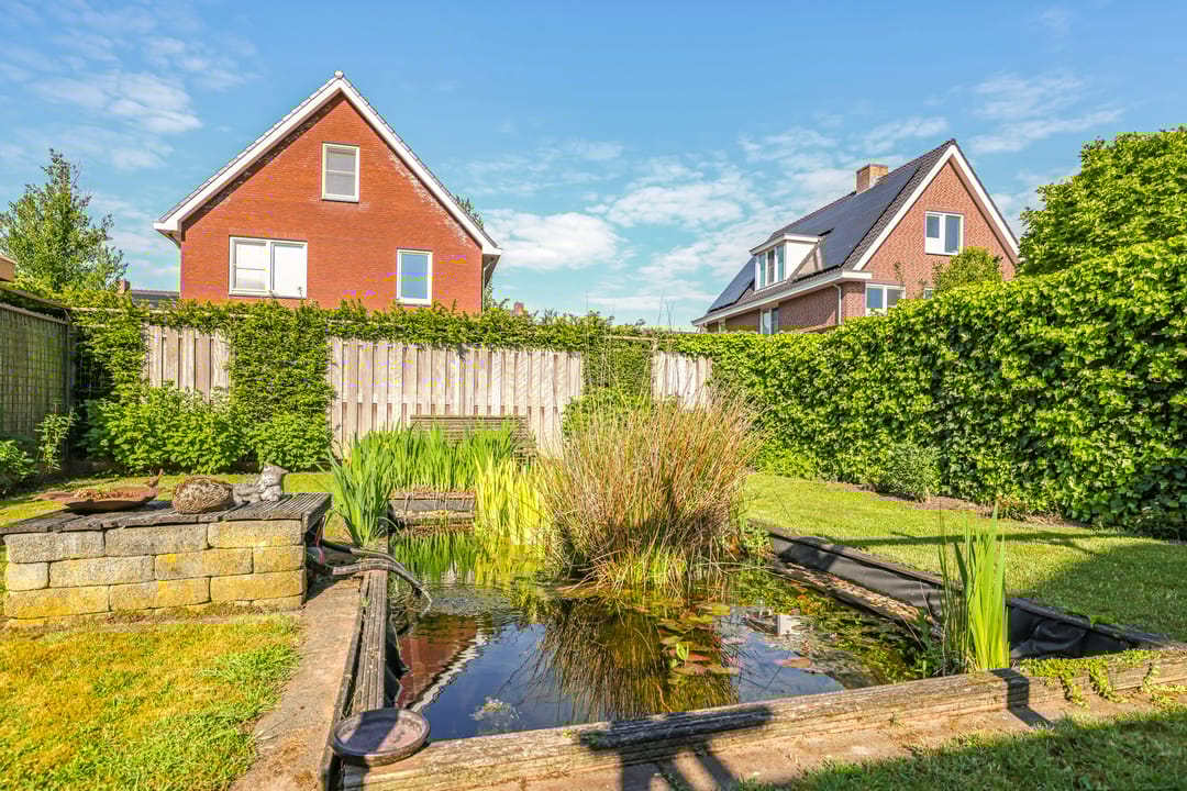 Foto 52 van Paardenbloem 62