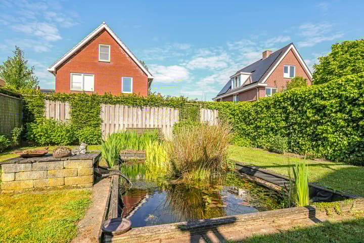 Foto 52 van Paardenbloem 62