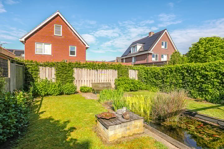 Foto 53 van Paardenbloem 62