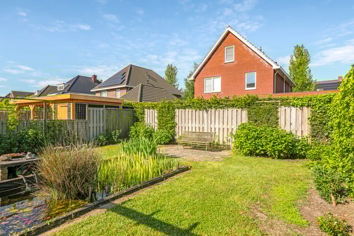 Foto 54 van Paardenbloem 62