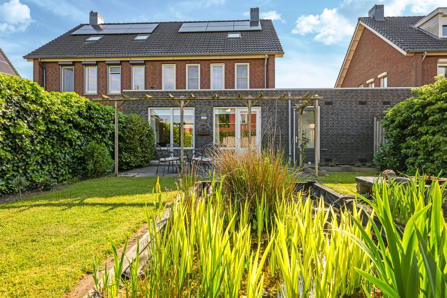 Foto 55 van Paardenbloem 62