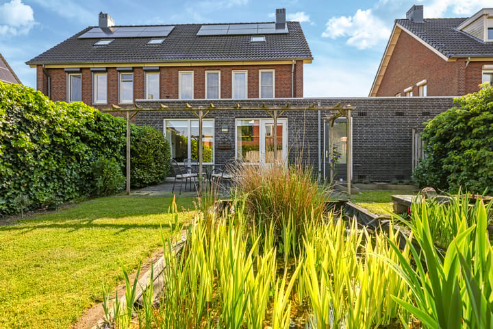 Foto 55 van Paardenbloem 62