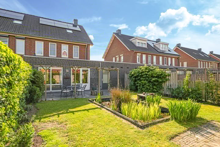 Foto 58 van Paardenbloem 62