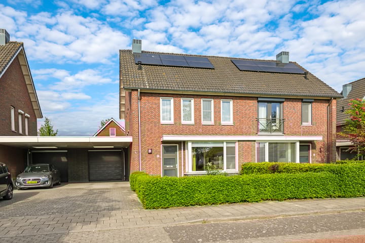 Foto 59 van Paardenbloem 62