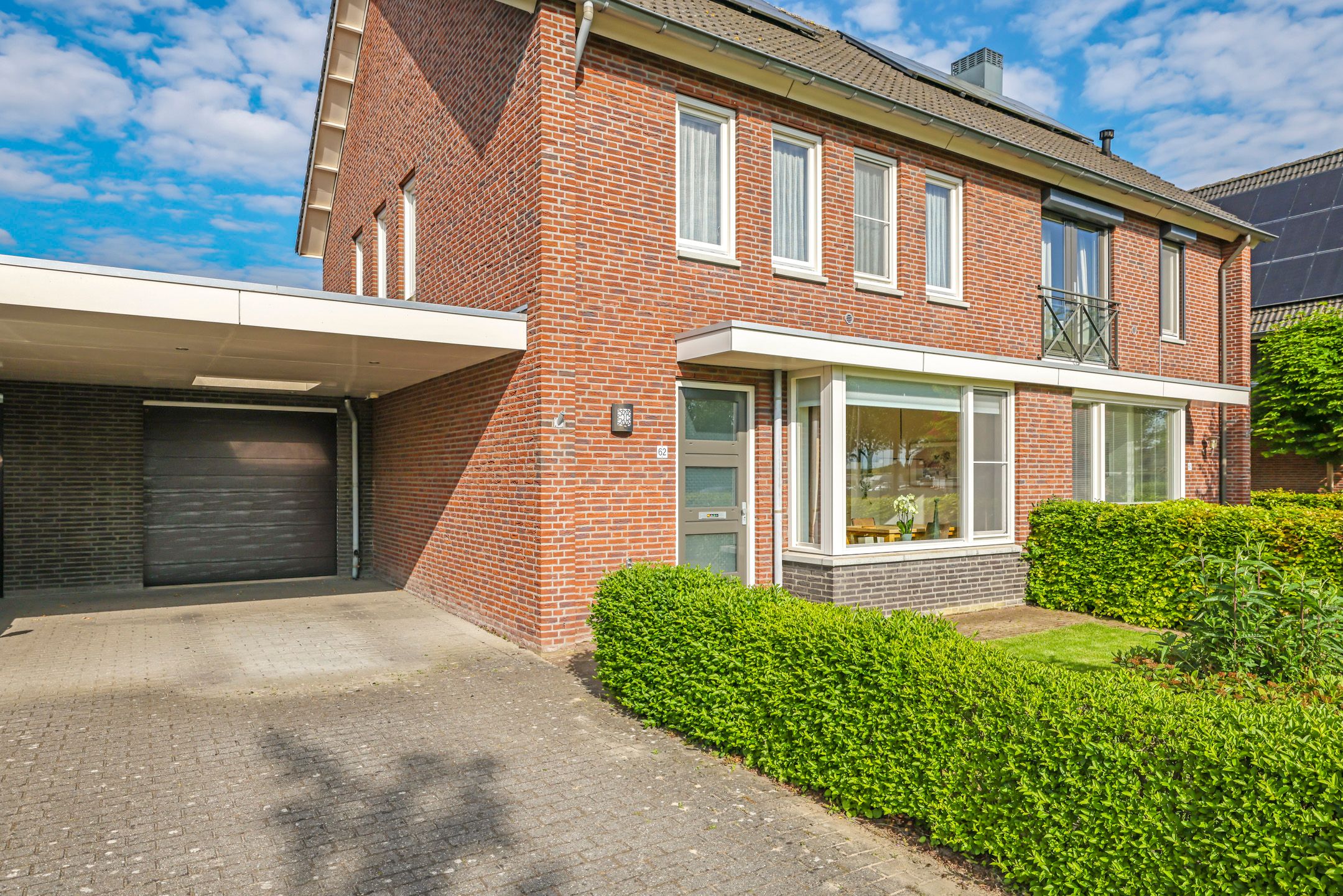 Foto 60 van Paardenbloem 62