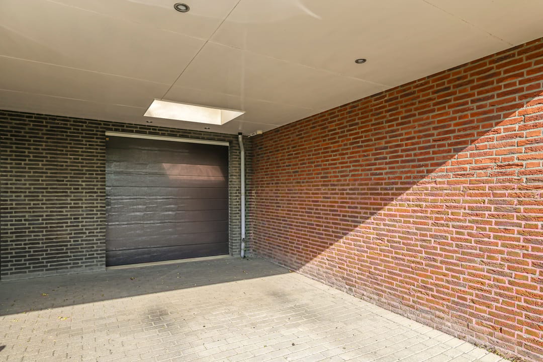 Foto 61 van Paardenbloem 62