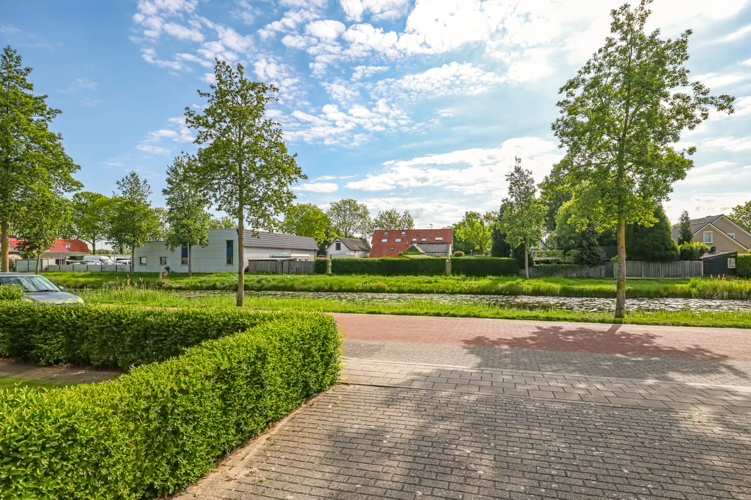 Foto 62 van Paardenbloem 62