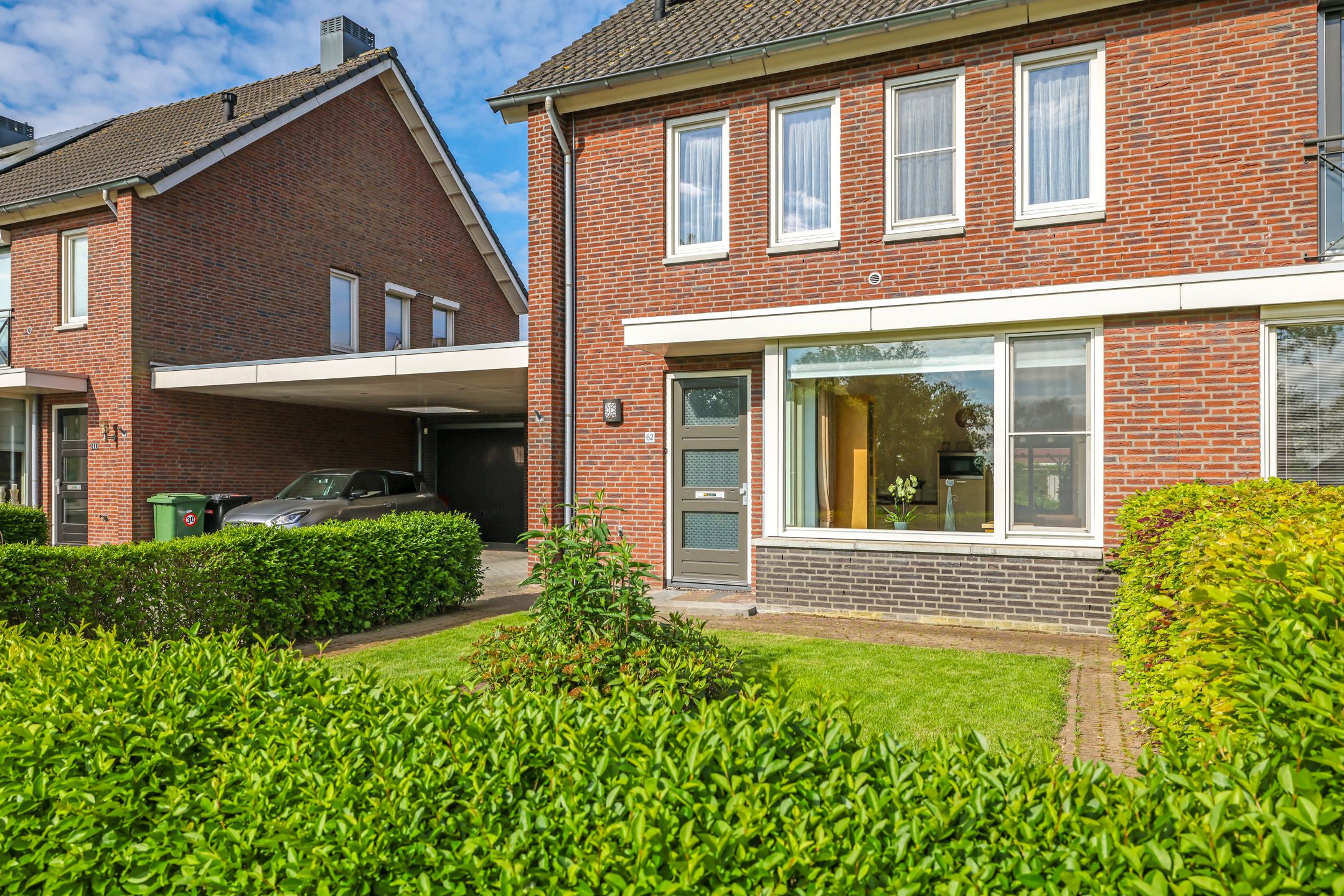 Foto 63 van Paardenbloem 62