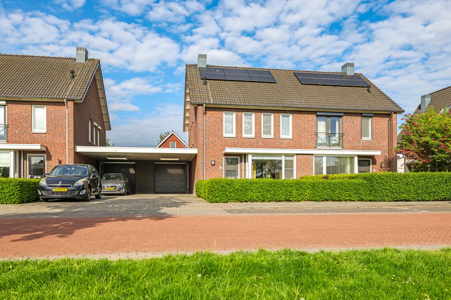 Foto 64 van Paardenbloem 62