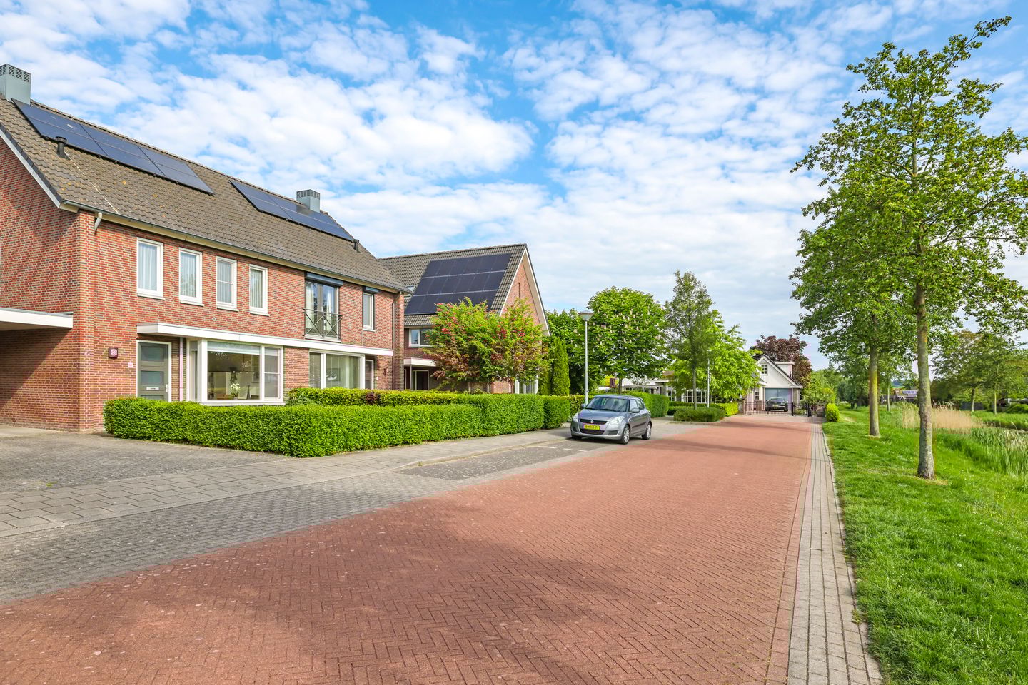 Foto 65 van Paardenbloem 62