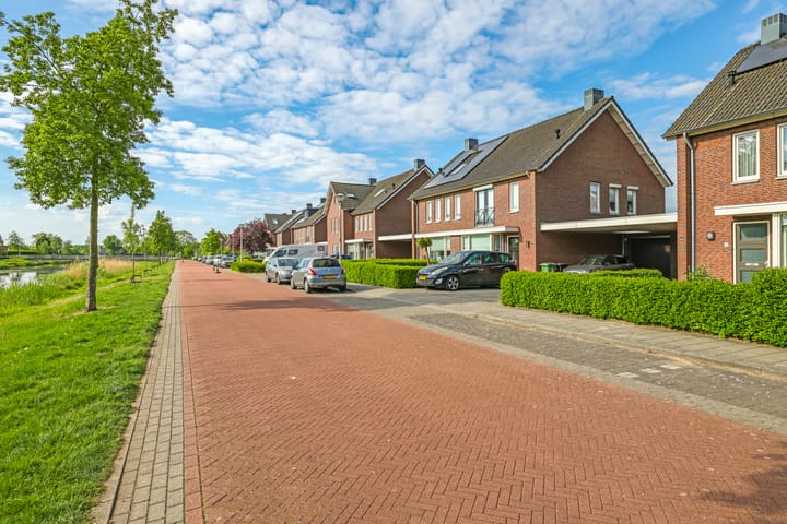 Foto 66 van Paardenbloem 62