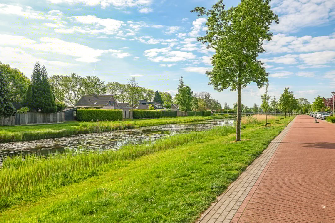 Foto 67 van Paardenbloem 62