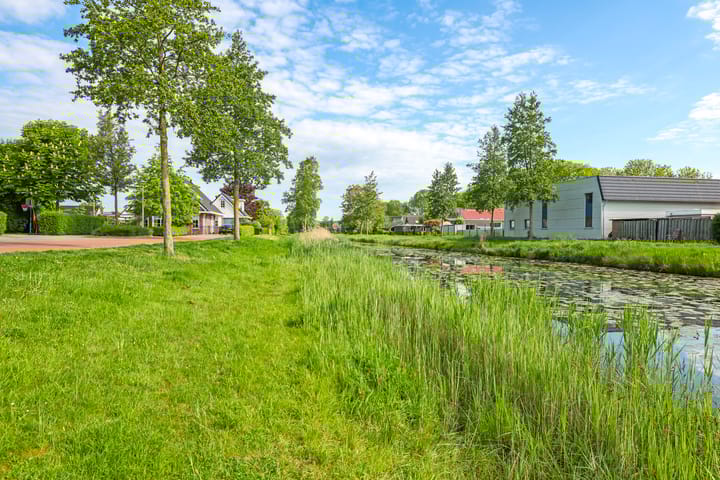 Foto 68 van Paardenbloem 62