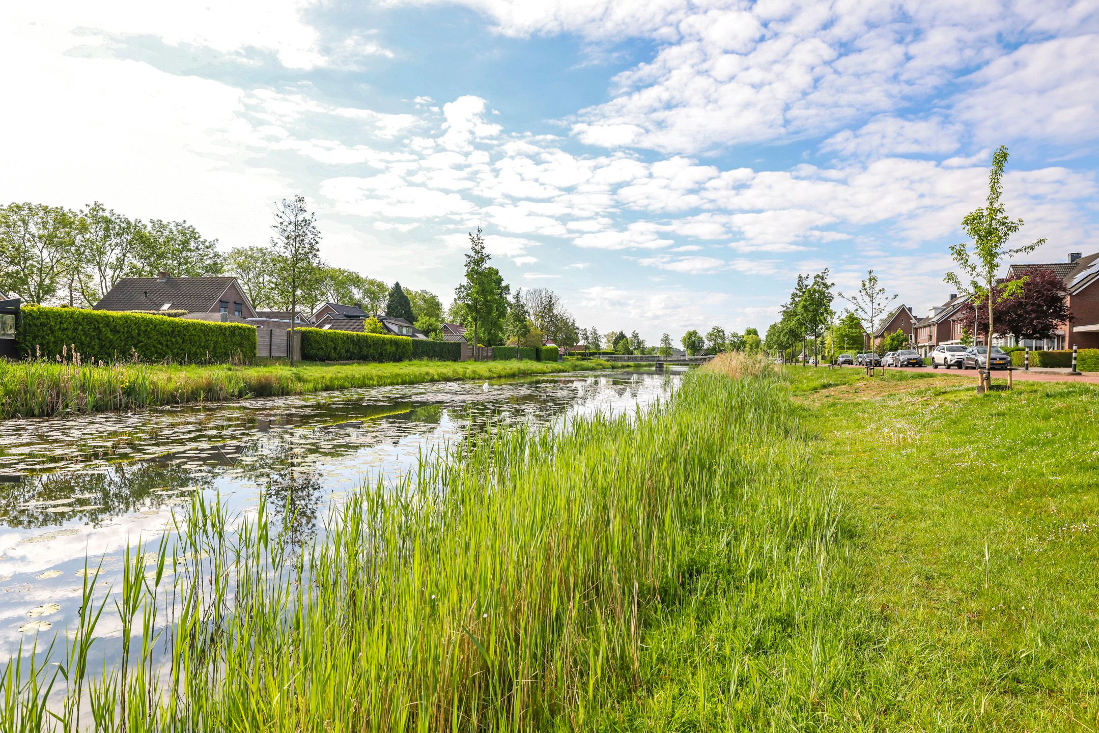 Foto 69 van Paardenbloem 62